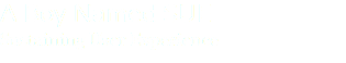 A Boy Named SUE Sustaining User Experience